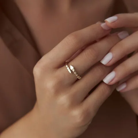 Calipso Yılan Yüzük Resim 1