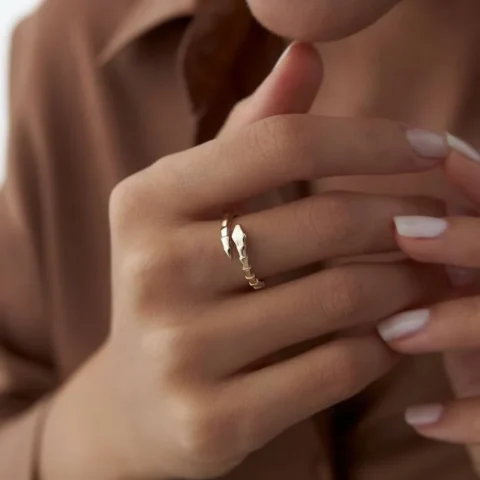 Calipso Yılan Yüzük Resim 2