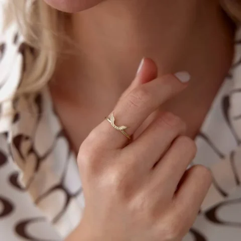 Kanat Yüzük Resim 1